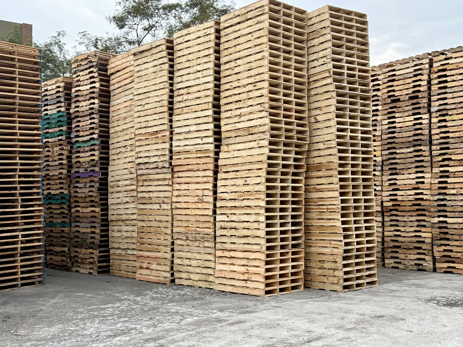 Tarima de madera 42" x 42" 1era calidad