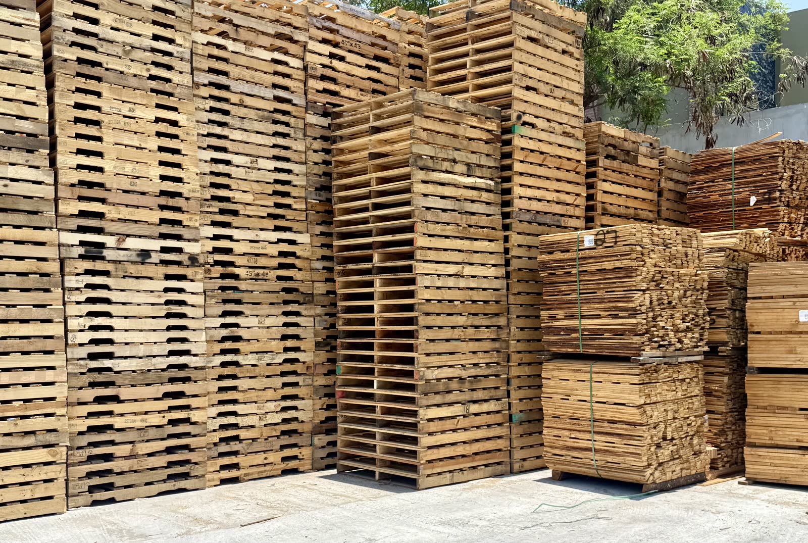 Tarima de madera 48" x 45" 1era calidad
